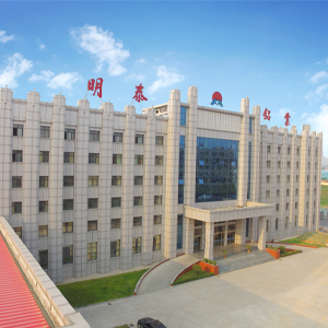 河南泰鴻新材料有限公司